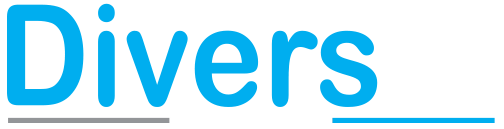 DiversIT.me logo
